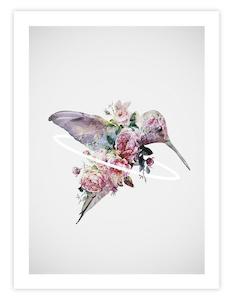 Guest Edit Deb Couchman: Kolibri