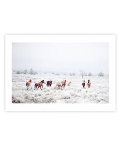 Winter Wonder: Winter Horses