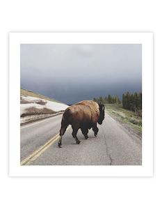 Winter Wonder: Street Walker