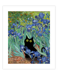 Wholesale Wall Art Nz: Irises Little Black Cat