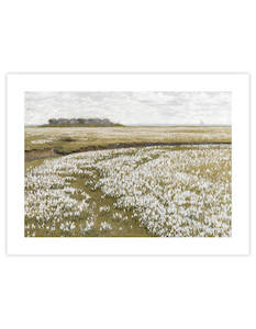 Boxing Day Promotion: A Vast Summer Landscape