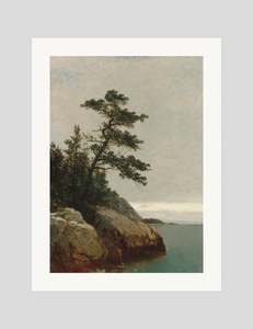 Unframed Art Prints: The Pine
