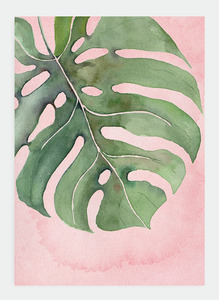 Joni Murphy: JM12 Pink Monstera