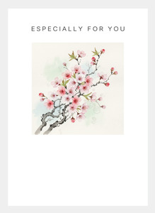 Latest Designs Wholesale: MM222 Especially for You (Pack of 6)