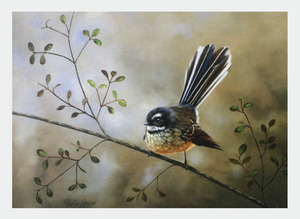 New Zealand Artists Wholesale: FAMG07 Fantail (Pack of 6)