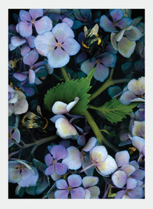 Flora Lynn Hurst Wholesale: LH22 Hydrangea (Pack of 6)