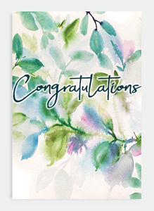 Wedding Romance Mini Wholesale: JMM27 - Congratulations (Pack of 6)