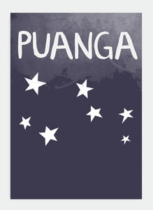 HS25 Puanga (Pack of 6)