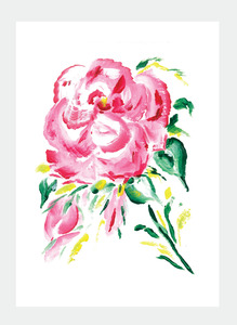 GC15 Flowers | Geoff Clements (Pack of 6)