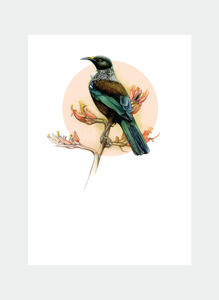 All Occasions Mini Wholesale: DBM18 Tui  (Pack of 6)