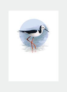 All Occasions Mini Wholesale: DBM17 Stilt  (Pack of 6)