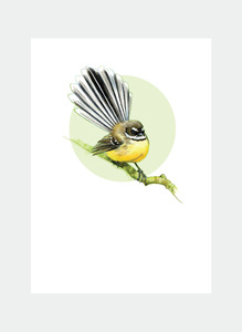 All Occasions Mini Wholesale: DBM12 Fantail  (Pack of 6)