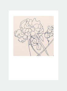 MC51 Pink flowers  (Pack of 6)