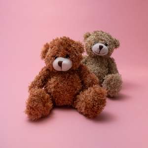 Gifts: Ted the Teddy Bear