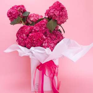 Hydrangea Special