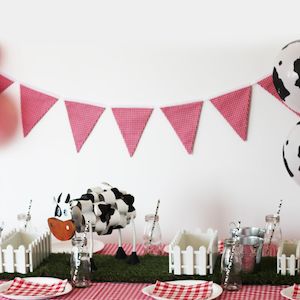 Kids Party Boxes: Farmyard Fun | Party Box