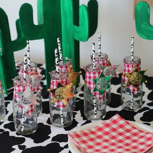 Wild West | Party Box