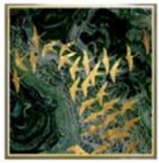 Box Frame Canvas Print - Gold Birds PO128