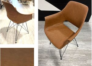 chair: The Bern Chair