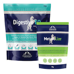 Horse Dog Supplements: Metabolic Care Pack - Pleasure Horse
