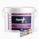 Sporthorse Daily Gut Care Pack