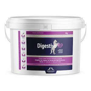 Digestive RP 4kg Tub 4 Pack (Wholesale)