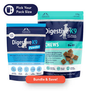 Dog Health: DigestiveK9 Hero Duo