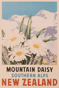 Postcard: 917 - Post Art Postcard - Mountain Daisy Vintage