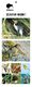 MGI5941 - Native Birds Magnet Set 2
