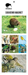 MGI5947 - Native Birds Magnet Set 3