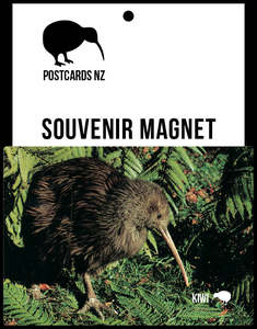 Wildlife: MGI115 - Kiwi - Magnet