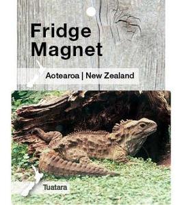 Wildlife: MGI110 - Tuatara - Magnet