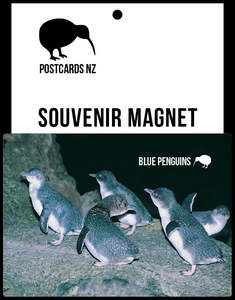 MGI094 - Kororā/Blue Penguins - Magnet