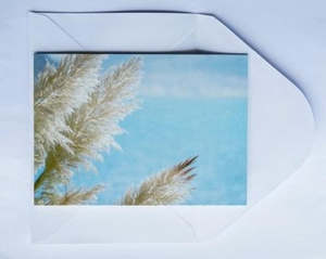 Toetoe Greeting Cards