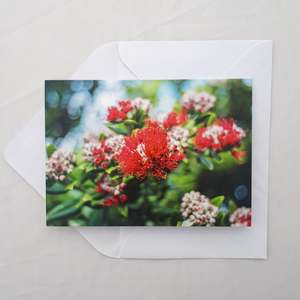 Greeting Cards: Pohutukawa Greeting Card