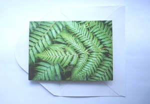 Fern Greeting Card