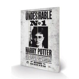 Products: Harry Potter Undesirable No 1 - Wooden Wall Art
