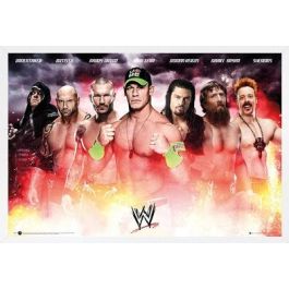 Wwe - Collage 2014