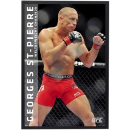 Ufc - Georges St-pierre