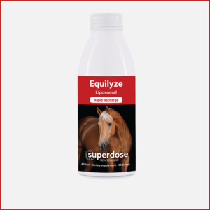 Equilyze