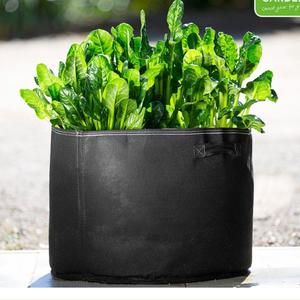 Seed Raising Trays: Aussie Gardener Black GeoFelt Veggie Growing Planter with Handles 550mmx400mm