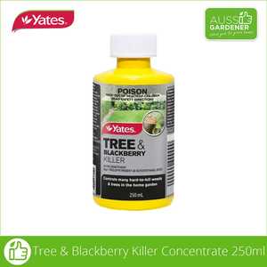 Weed Killer: Tree and Blackberry Killer Concentrate 250ml