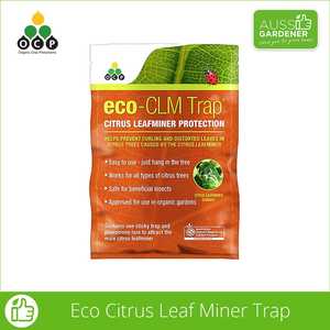 OCP Eco-CLM Trap | Citrus Leafminer Protection & Control