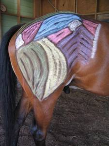 Equine Massage Course Power Star Nutrition NZ