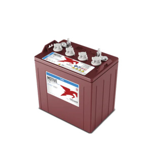 Products: Trojan T105