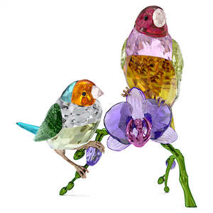 DEFAULT: Swarovski Idyllia SCS Annual Edition 2024 Gouldian Finches
