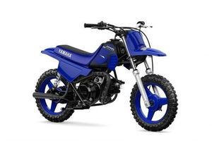 Products: Yamaha PW50
