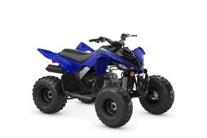 Products: Yamaha Yfm90r Raptor 90