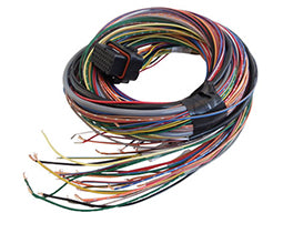 Looms Wiring G4x G4: A Loom Medium (2LA)