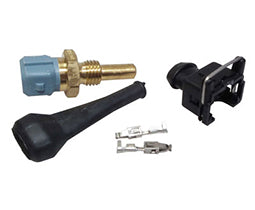 Sensors Temperature: Coolant Temperature Sensor (NTC12)